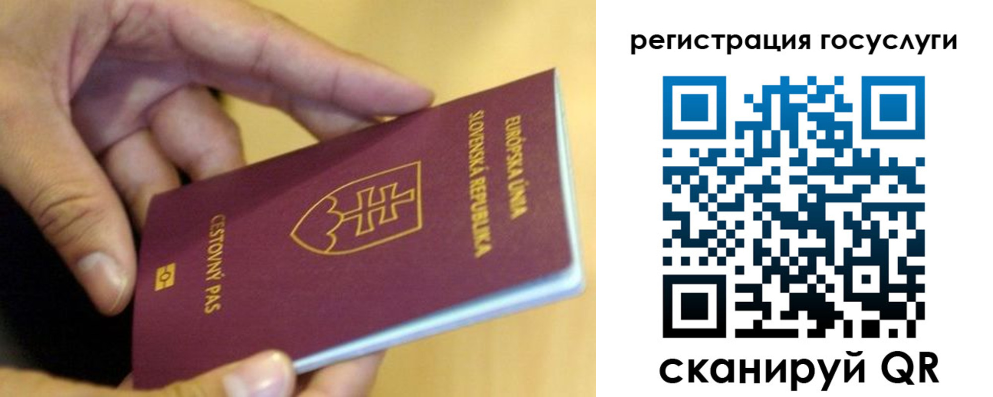 временная регистрация недорого в Россоши